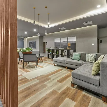 City Express Plus By Marriott Tijuana-3